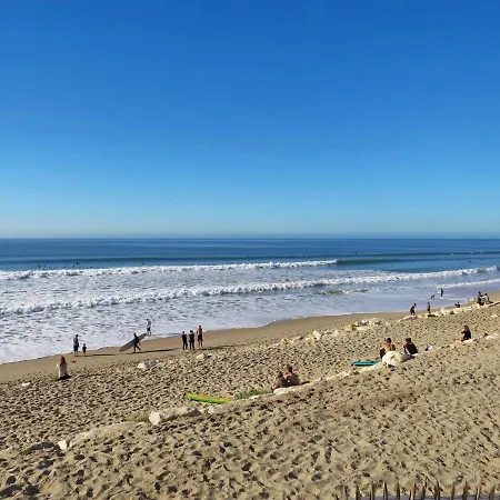 Le Rooftop By Interhome Lejlighed